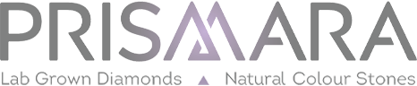 Prismara Logo